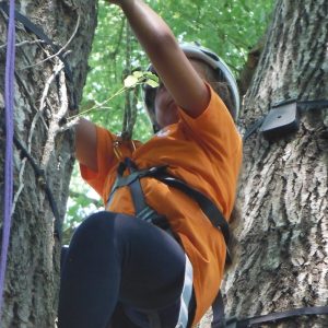 Tree climbing
